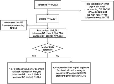 The Impact of Cognitive Function on the Effectiveness and Safety of Intensive Blood Pressure Control for Patients With Hypertension: A post-hoc Analysis of SPRINT